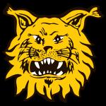 Ilves II (w)