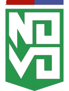 Novo Esporte Clube Ipatinga