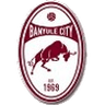Banyule City