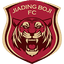 Shanghai Jiading Huilong(w)
