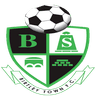 Birtley Town