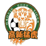 Chongqing Gaoxin Tiger