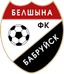 Belshina (W)