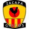 Zacapa Tellioz