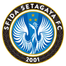 Setagaya Sfid(w)