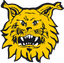 Ilves Tampere