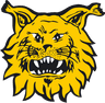 Ilves Tampere