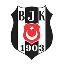 بشيكتاش تحت 19