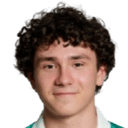 Fabian silber