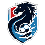 হুয়াইয়ান টিম