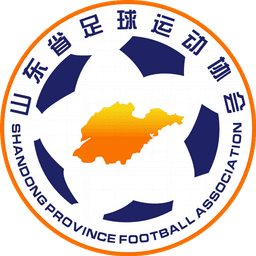 Shandong U18 Shandong U18